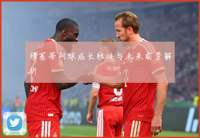 穆塞蒂网球成长轨迹与未来前景解析