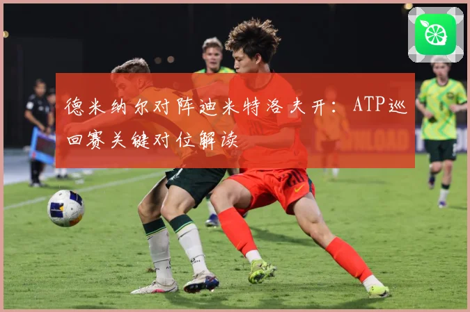 德米纳尔对阵迪米特洛夫开：ATP巡回赛关键对位解读