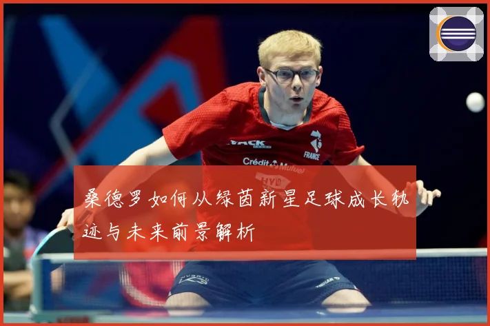 桑德罗如何从绿茵新星足球成长轨迹与未来前景解析